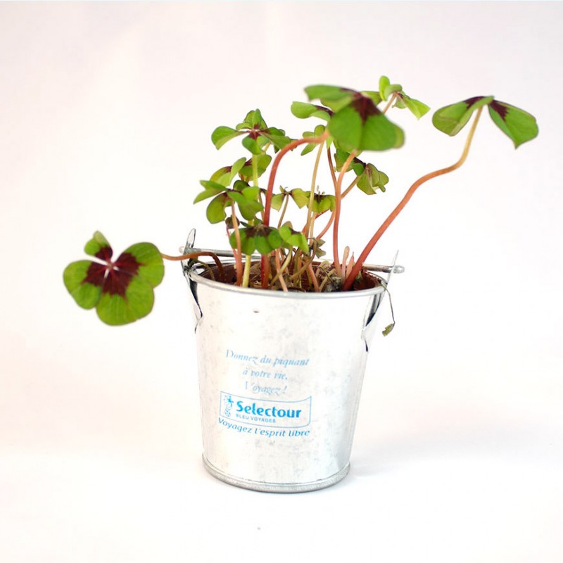 Vente Mug kit à pousser trèfle 4 feuilles en ligne
